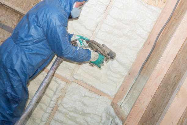 Professional Insulation in Perry, OK